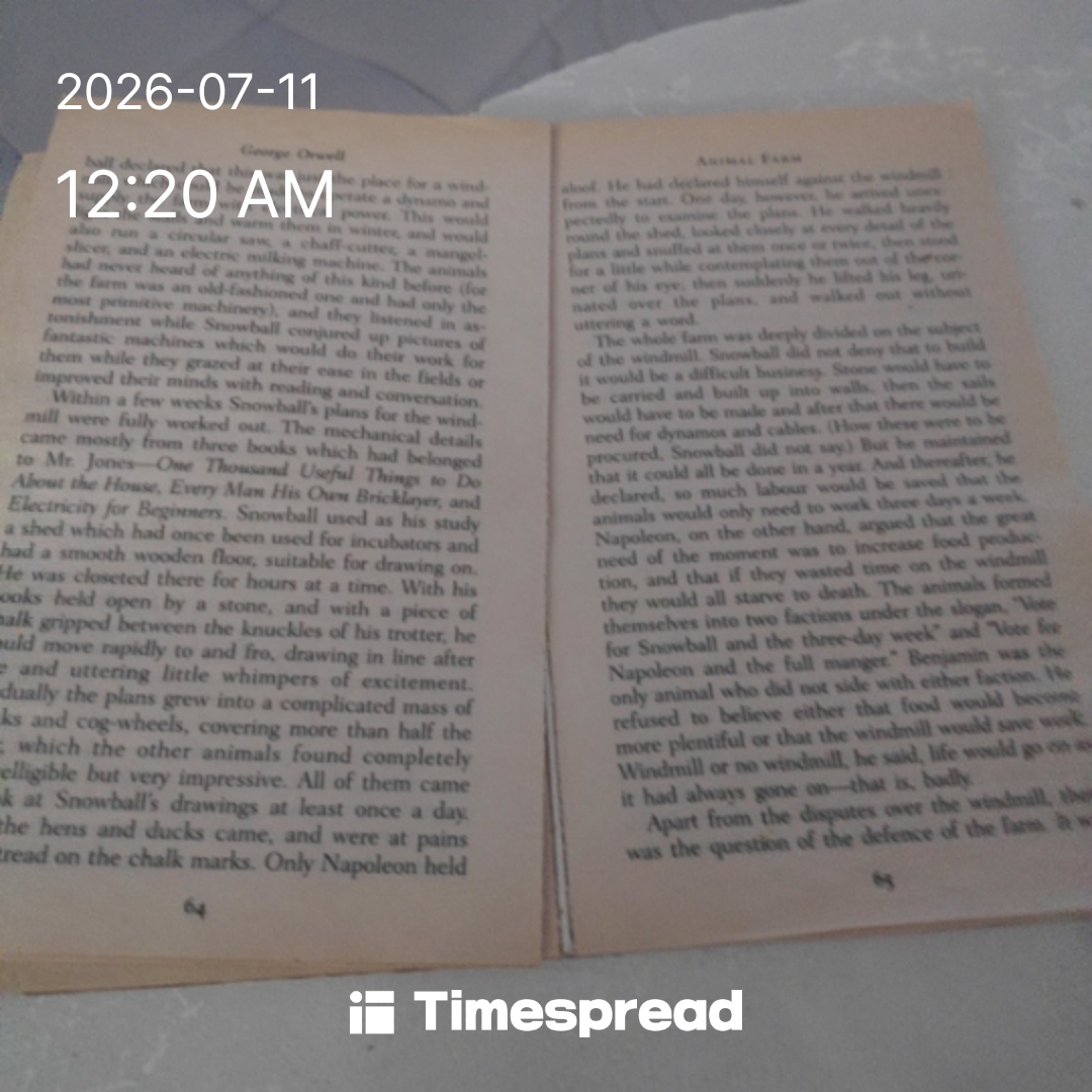 board-img