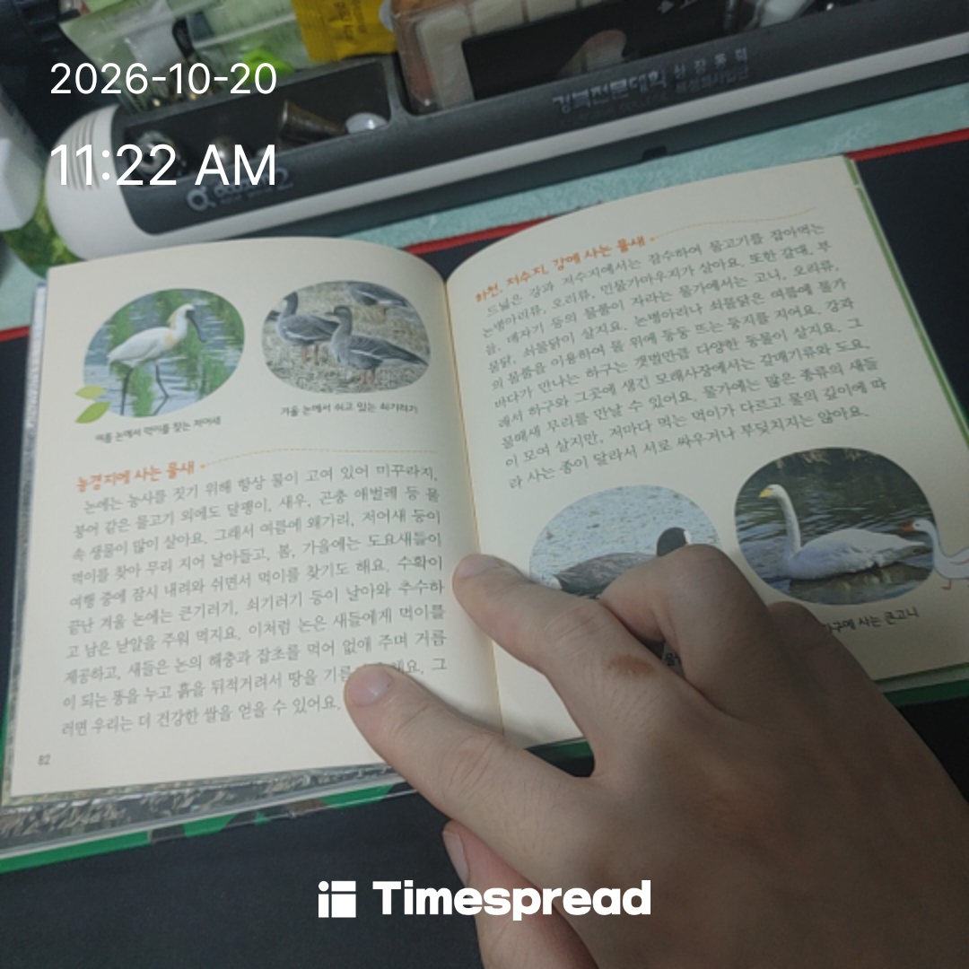 board-img